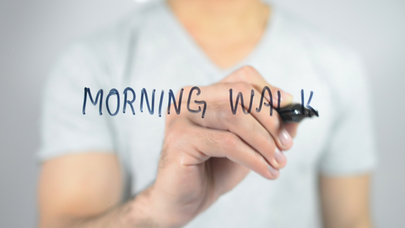 Morning Walk alt