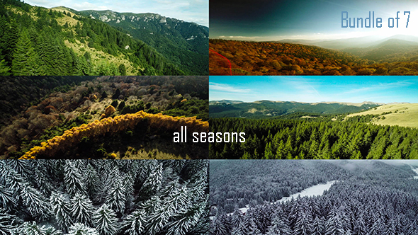 Flying Over the Forest Trees - All Seasons