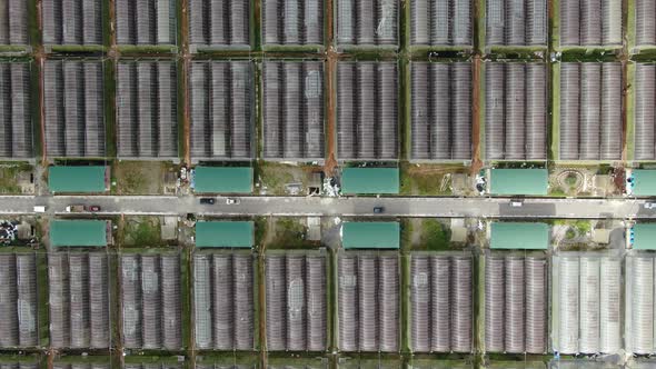 Prawn Fish Farm Aerial