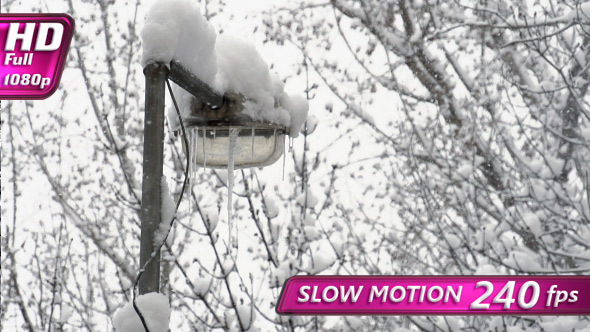 Christmas Snowfall in City Park alt