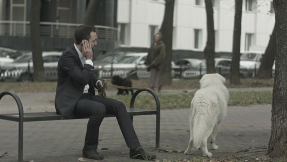 Business Man With His White Dog Talking By Phone
