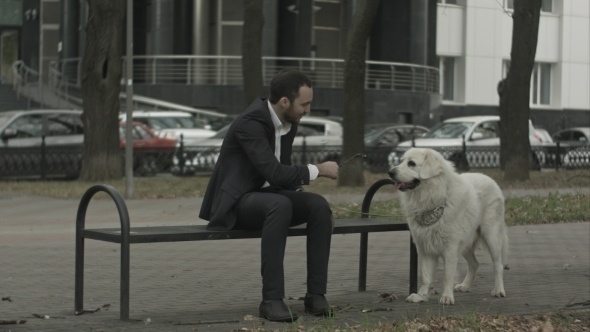 Businessman And His Dog Playing With Stick