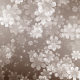 Flower Particles - VideoHive Item for Sale