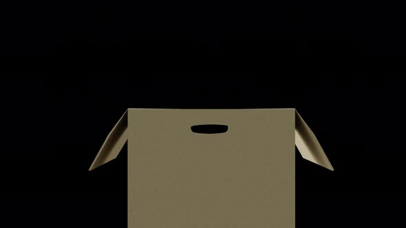 cardboard box Open alt
