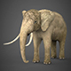 Low Poly Realistic Elephant - 3DOcean Item for Sale