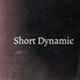 Short Dynamic Opener - VideoHive Item for Sale