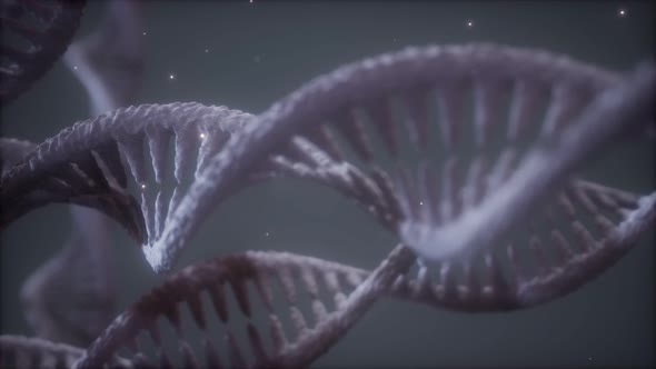 Double Helical Structure of Dna Strand Close-up 