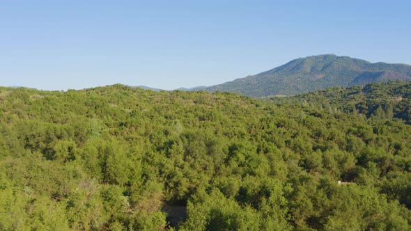 Aerial Drone Shot of a Forest with a  Mountain Road in the California Wilderness (Ahwahnee, CA)