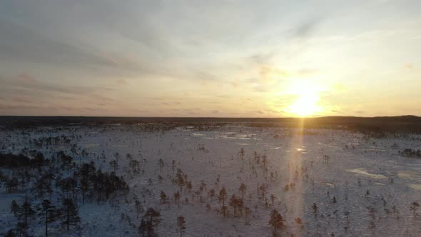 Sunrise on a winter bog