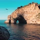 Sea cave and bird - VideoHive Item for Sale