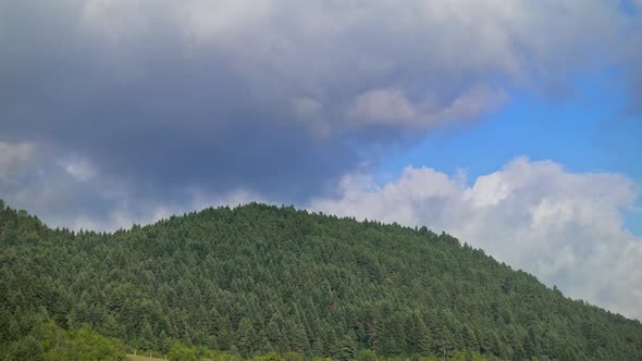 Cloudy Weather in Forest Time Lapse - 4K