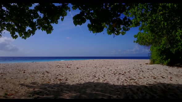 Aerial nature of luxury shore beach wildlife by blue lagoon and white sand background of a dayout ne