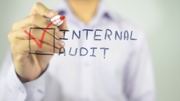 Internal Audit, Checklst