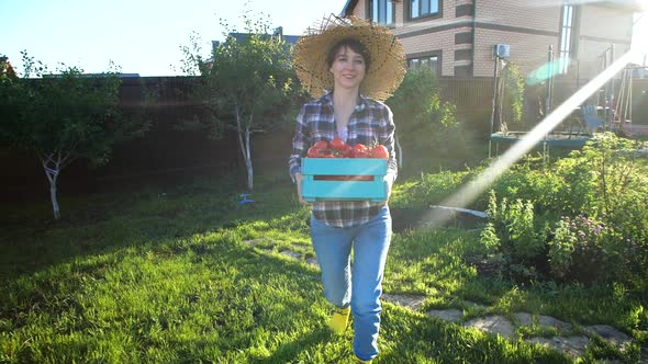 Concept of Hobbies and Country Life. Beautiful Woman Holding Box of Fresh Vegetables