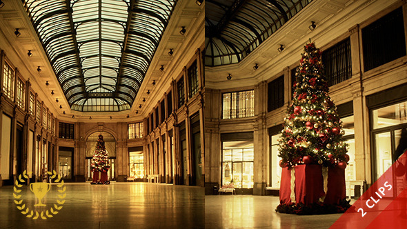 Christmas Tree in a Shopping Gallery