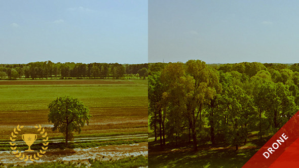 Flying Above Fields and Trees