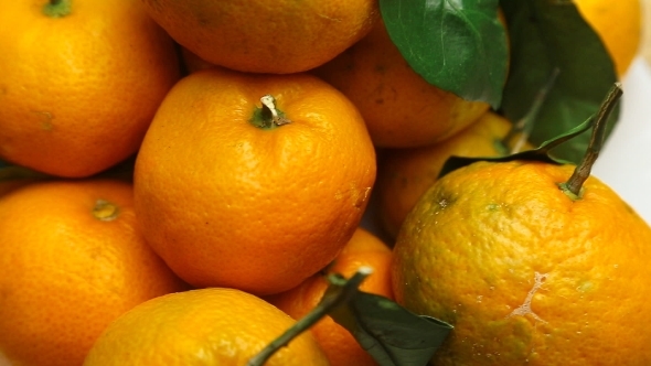 Rotating Fresh Tangerines