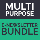 Multi Purpose E-newsletter  Bundle - GraphicRiver Item for Sale