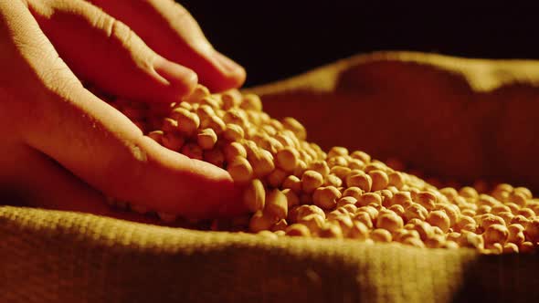 Grocery Chickpeas Texture Closeup