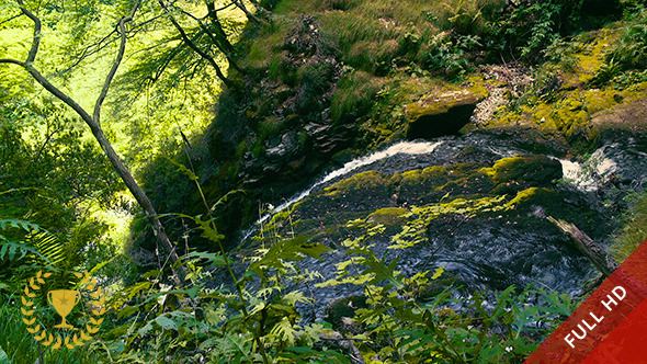 Quiet Waterfall in the Forest