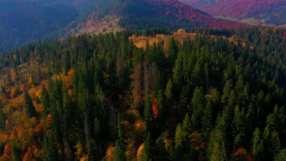 Aerial Drone Video Flying Over Carpathians Mountains, Ukraine, Europe