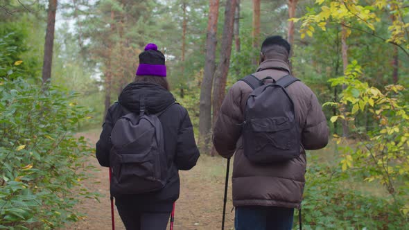 Back View of Diverse Travelers Trekking in Wood