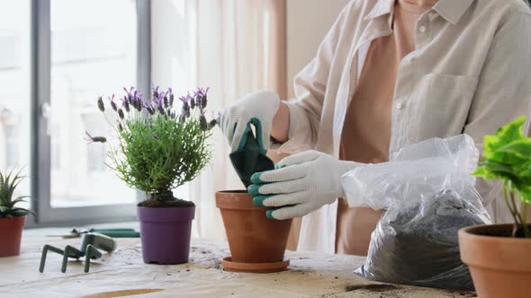 Woman Planting Pot Flowers at Home