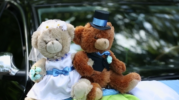 Bears On a Wedding Car