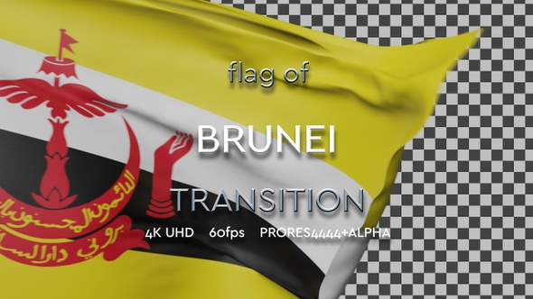 Flag of Brunei Transition | UHD | 60fps