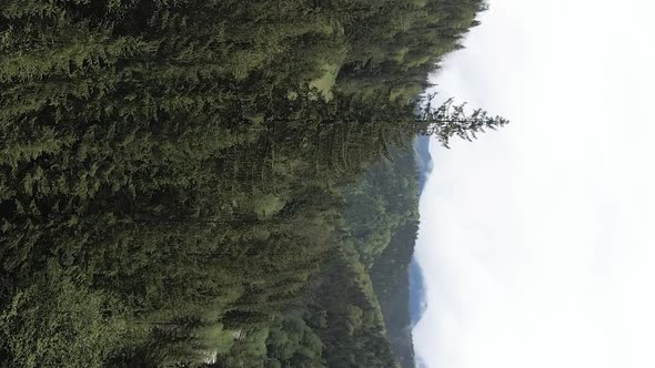 Vertical Video Carpathian Mountains