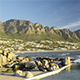 Camps Bay Cape Town South Africa Beach - VideoHive Item for Sale