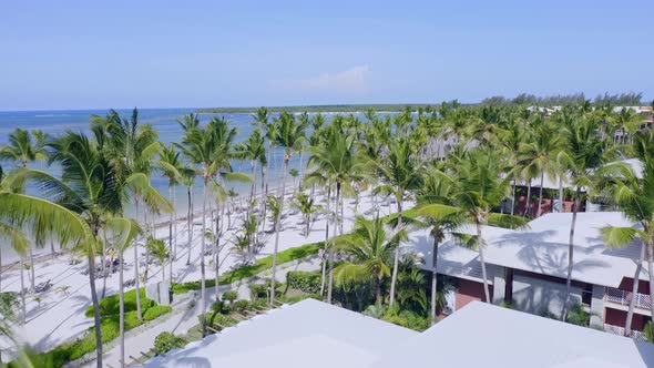 Palm Trees And Beachfront Accommodations On White Sand Beach In Summer. Playa Bavaro In Punta Cana,