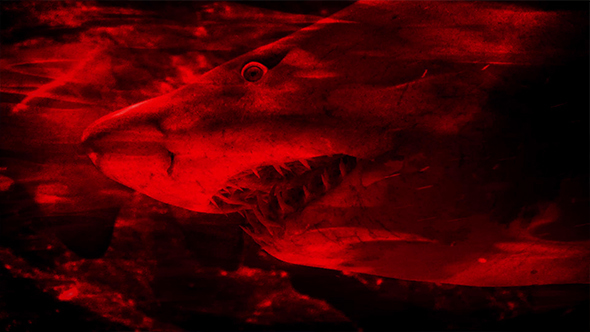 Shark Dangerous Terror Blood Abstract