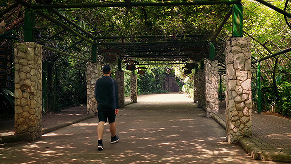 Man Walks Under Huge Canopy In Park