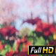 Blooming Garden - VideoHive Item for Sale