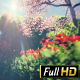 Flying through Spring Garden Path to Meadow - VideoHive Item for Sale