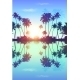 Blue Skypalms Silhouettes With Reflection - GraphicRiver Item for Sale