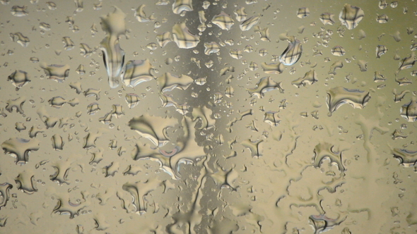 Raindrops Falling in a Window
