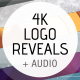 Logo Ident Reveal Pack - VideoHive Item for Sale