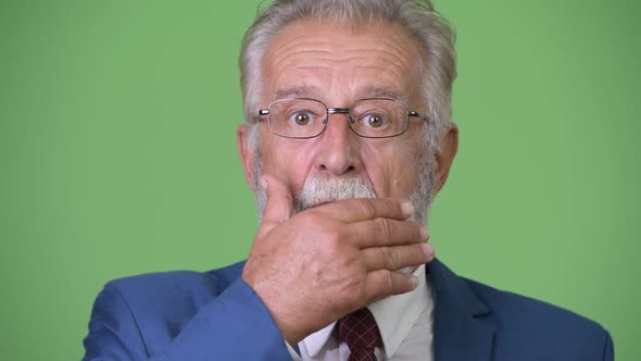 Handsome Senior Bearded Businessman Against Green Background