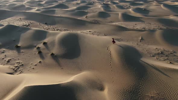 Dancing in the Desert Woman in Red Dress is Dancing on a Sand Dune