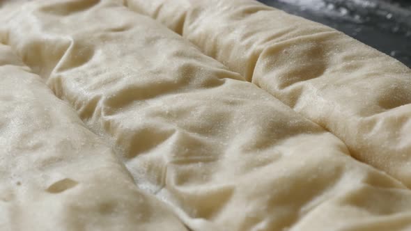 Rows of stuffed thin sheets of dough arranged in baking tray slow pan 4K 2160p 30fps UHD footage - R