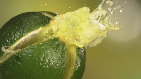 Fresh Lime Fruit Squirting with Juice in Slow Motion in Green Nature Background