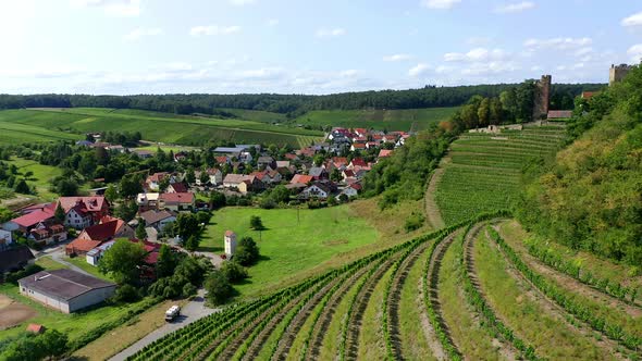 Drone shot vinyards and Neipperg Castle , Germany