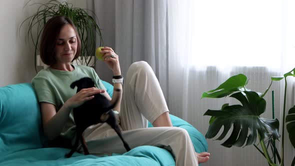 Young woman is eating an apple and share it with her little dog