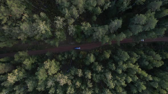 Black Car On A Forest Dirt Road