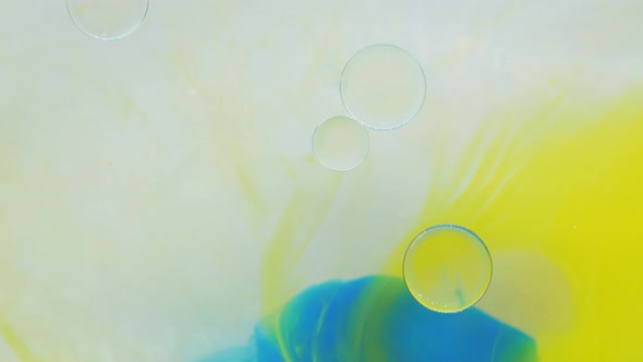 Moving Background Consisting of Blue Yellow Red and Green Particles of the Current Paint on a White