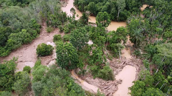 Aerial view tree bark gather at river bank