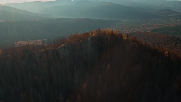 Aerial Magnificent View Coniferous Forest on Mighty Carpathians Mountains and Beautiful Blue Sky