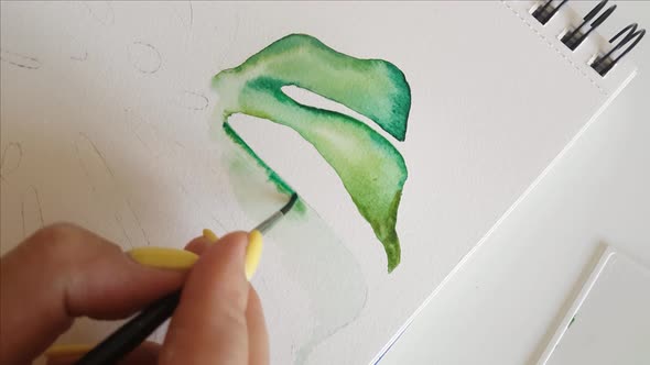 Woman painting Monstera leaf with Watercolors close up